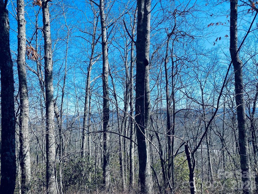 Lot 26 Red Hawk Bluff Sylva NC 28779