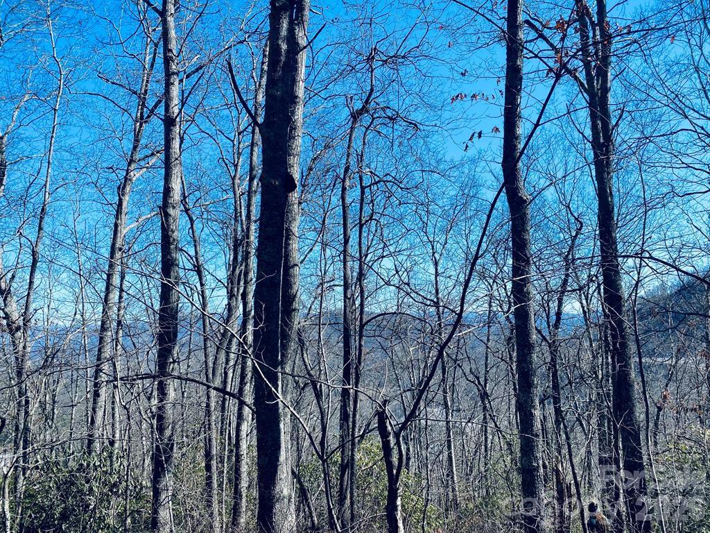 Lot 26 Red Hawk Bluff Sylva NC 28779