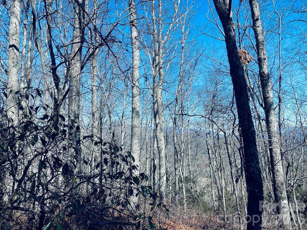Lot 26 Red Hawk Bluff Sylva NC 28779