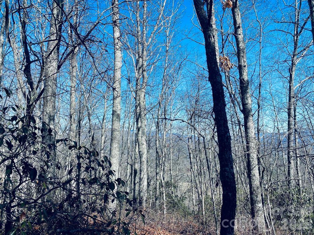Lot 26 Red Hawk Bluff Sylva NC 28779