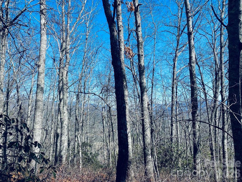 Lot 26 Red Hawk Bluff Sylva NC 28779