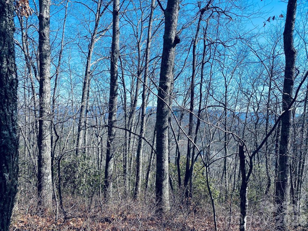 Lot 26 Red Hawk Bluff Sylva NC 28779
