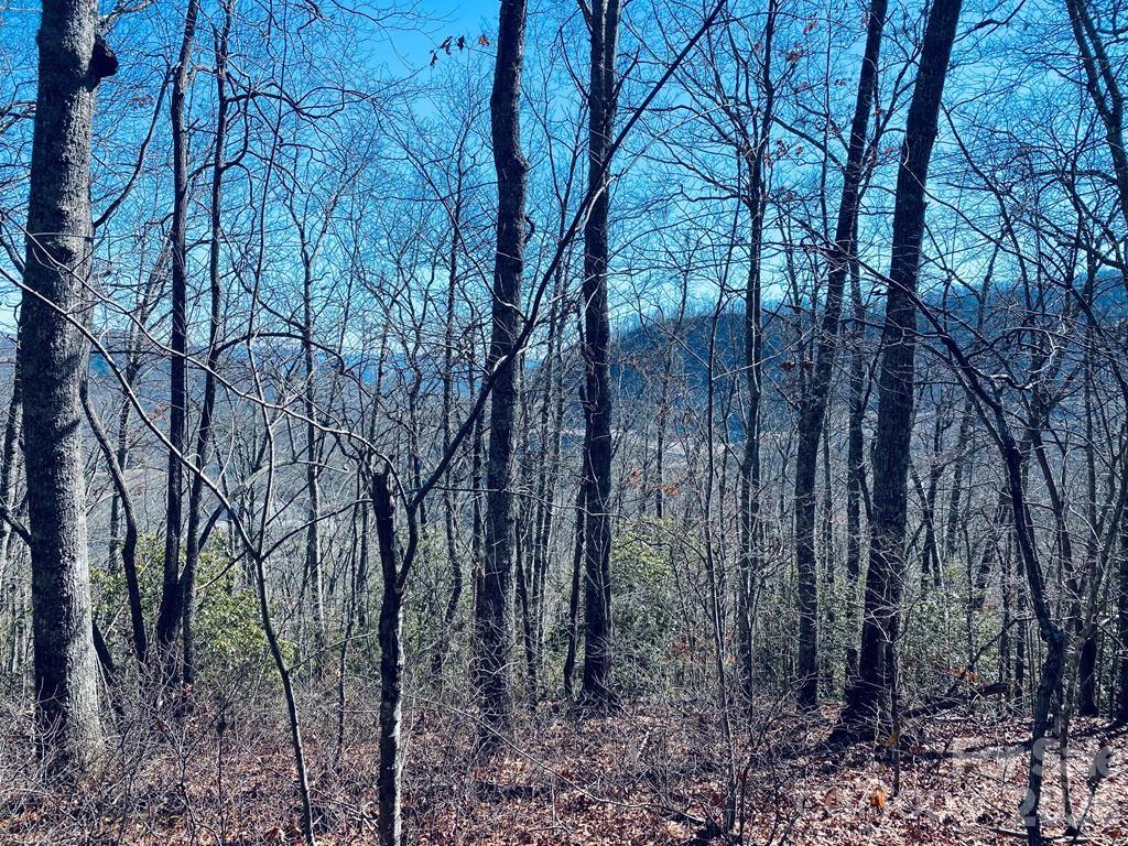 Lot 26 Red Hawk Bluff Sylva NC 28779