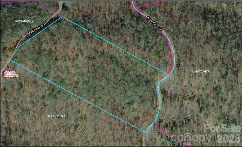 Lot 26 Red Hawk Bluff Sylva NC 28779