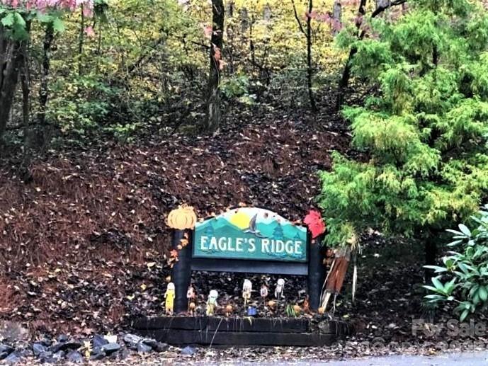Lot 26 Red Hawk Bluff Sylva NC 28779