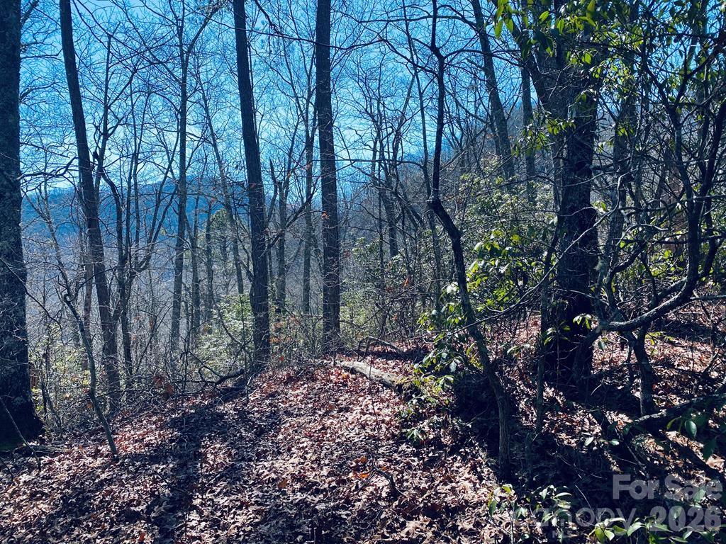 Lot 26 Red Hawk Bluff Sylva NC 28779