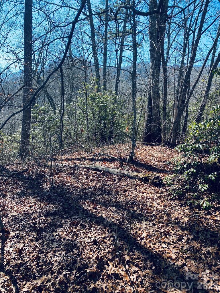 Lot 26 Red Hawk Bluff Sylva NC 28779
