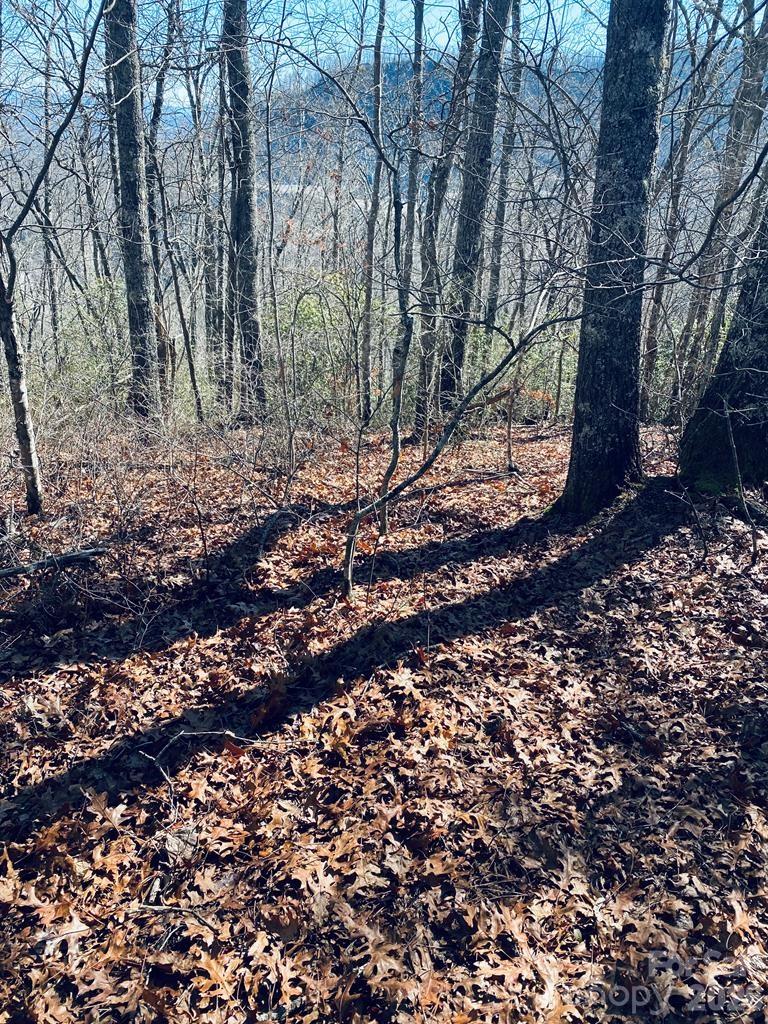 Lot 26 Red Hawk Bluff Sylva NC 28779