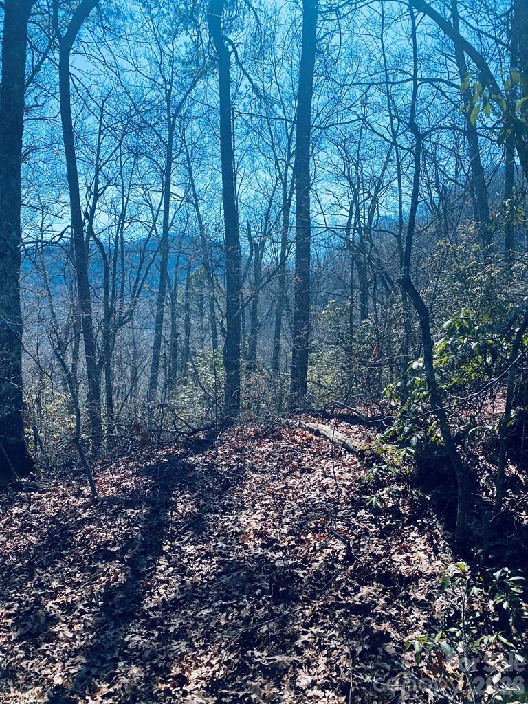 Lot 26 Red Hawk Bluff Sylva NC 28779