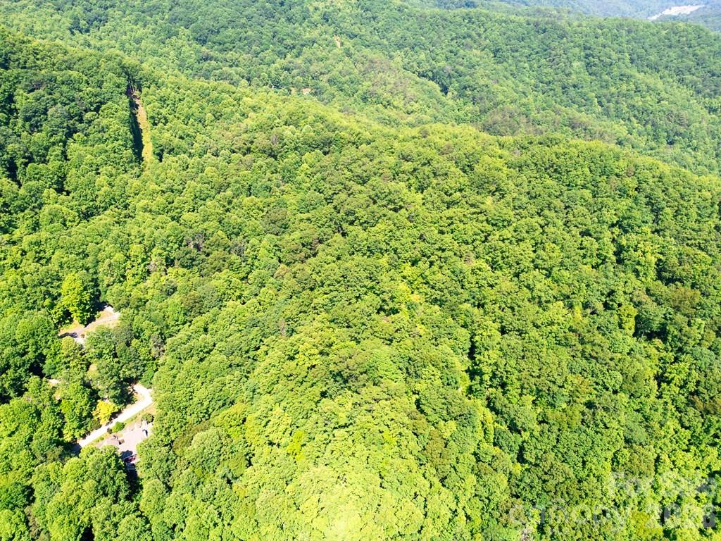 Lot 26 Red Hawk Bluff Sylva NC 28779