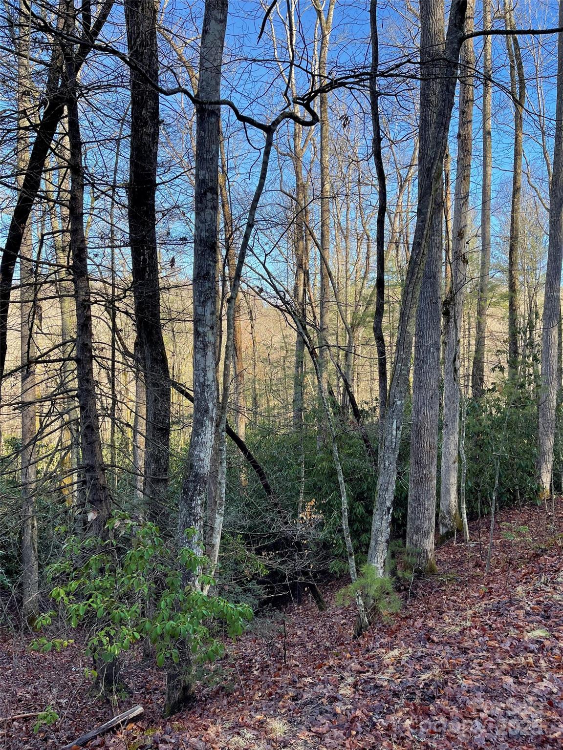 000 Old Ccc Road Hendersonville NC 28739