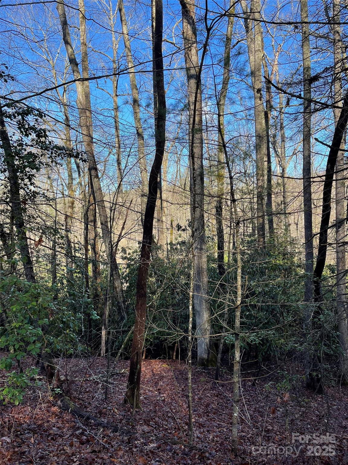 000 Old Ccc Road Hendersonville NC 28739