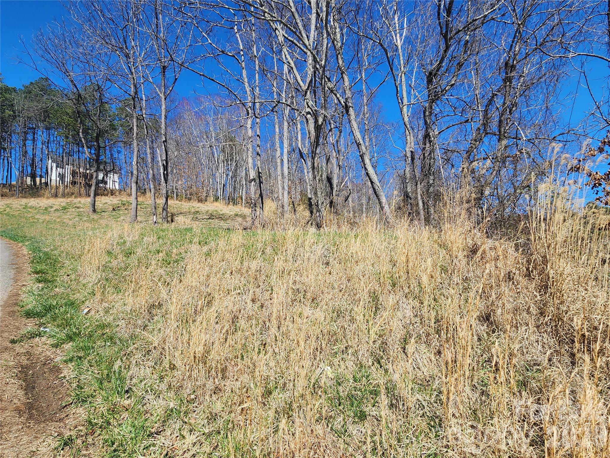 9999 Country Drive Mars Hill NC 28754