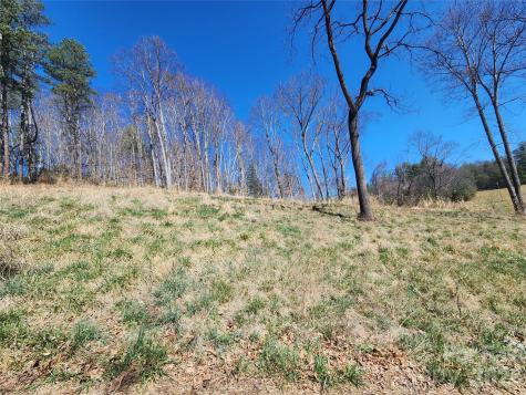 9999 Country Drive Mars Hill NC 28754