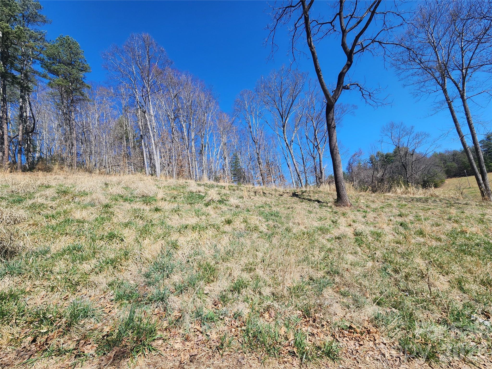 9999 Country Drive Mars Hill NC 28754