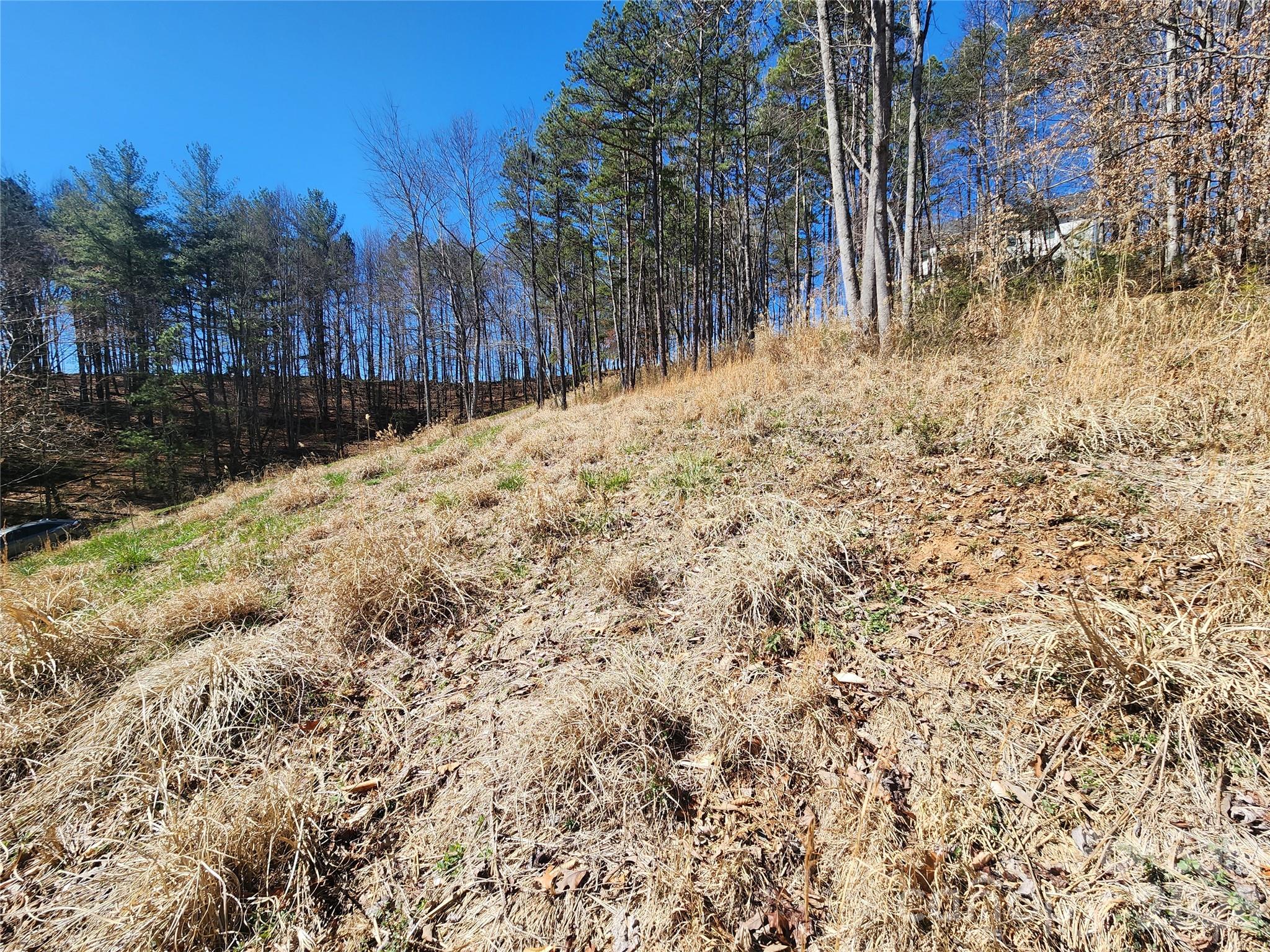 9999 Country Drive Mars Hill NC 28754