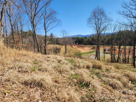 9999 Country Drive Mars Hill NC 28754