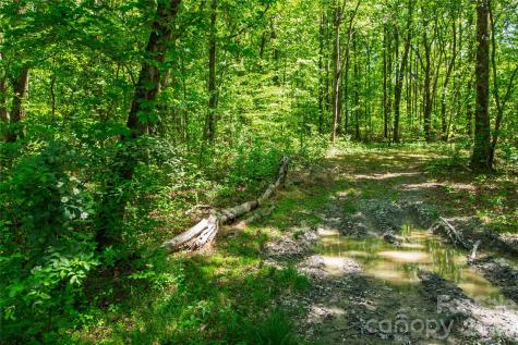 N/a Mill Creek Road Blacksburg SC 29702