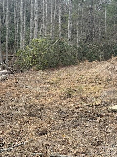 0 Benton Drive Etowah NC 28729