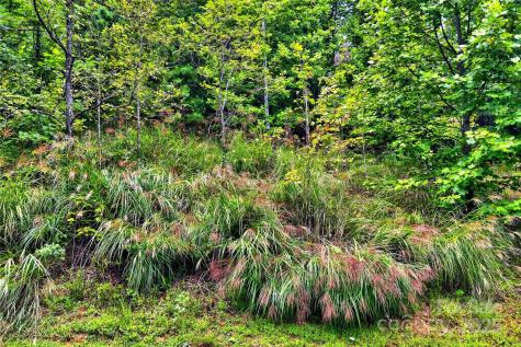 1696 Catawba Falls Parkway Black Mountain NC 28711