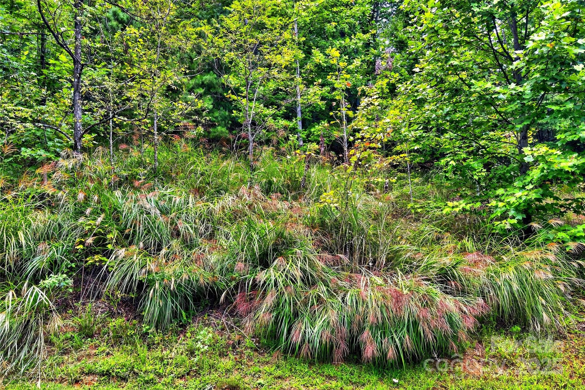 1696 Catawba Falls Parkway Black Mountain NC 28711
