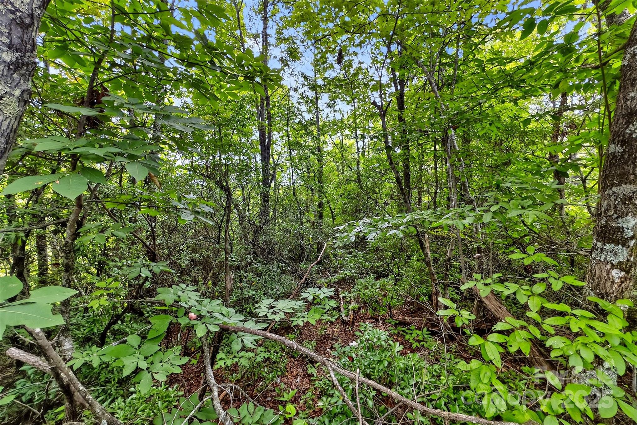 1696 Catawba Falls Parkway Black Mountain NC 28711