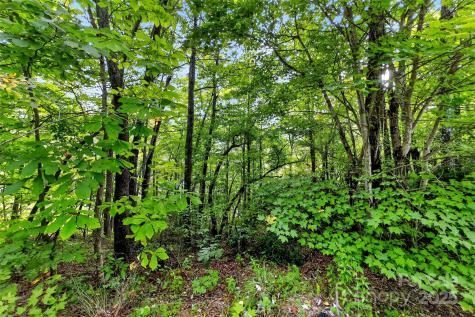 1696 Catawba Falls Parkway Black Mountain NC 28711