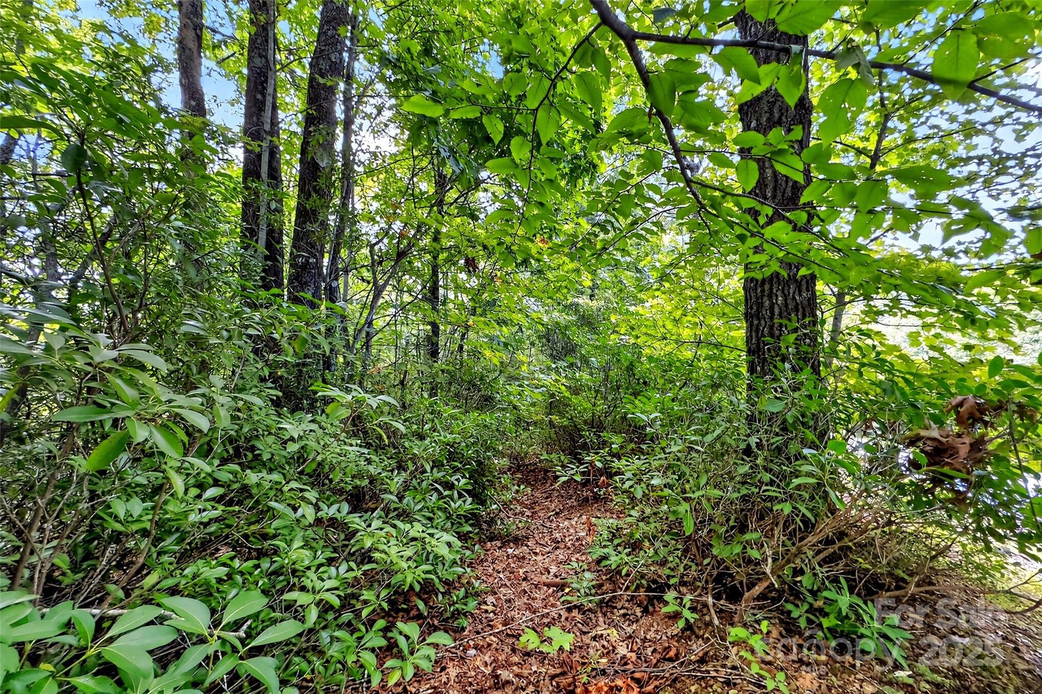 1696 Catawba Falls Parkway Black Mountain NC 28711