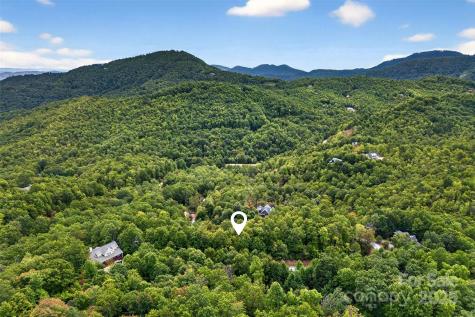 1696 Catawba Falls Parkway Black Mountain NC 28711
