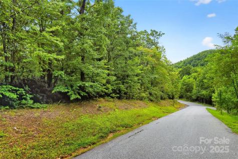 1696 Catawba Falls Parkway Black Mountain NC 28711