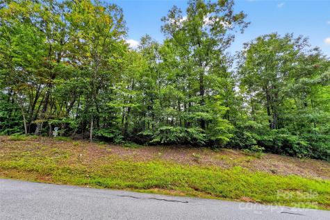 1696 Catawba Falls Parkway Black Mountain NC 28711