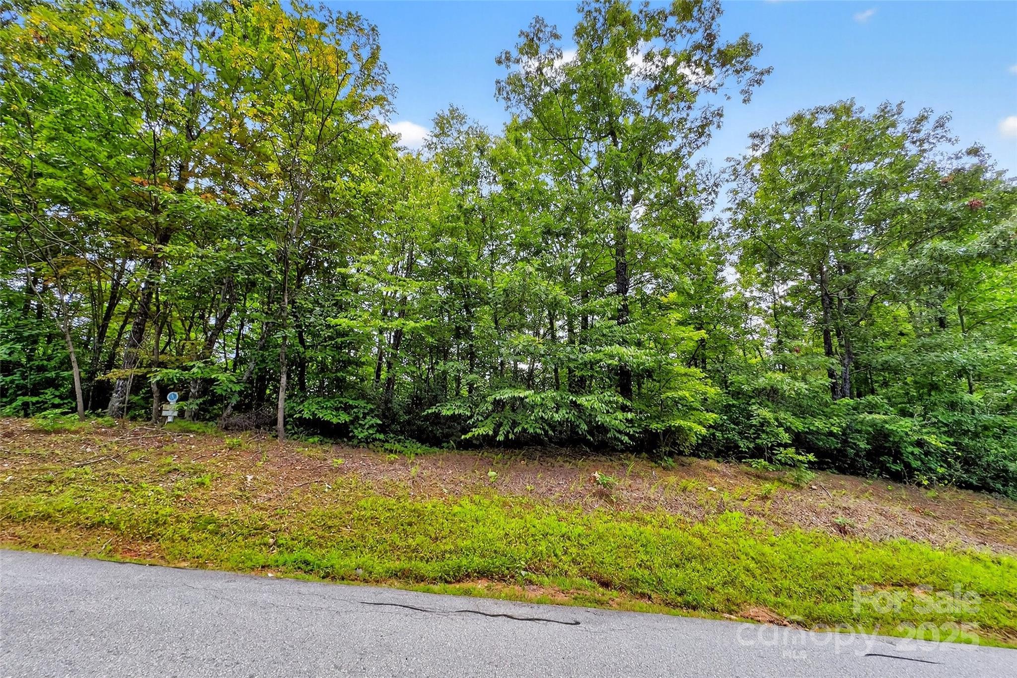 1696 Catawba Falls Parkway Black Mountain NC 28711
