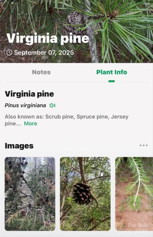 1696 Catawba Falls Parkway Black Mountain NC 28711