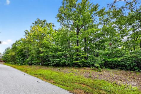 1696 Catawba Falls Parkway Black Mountain NC 28711