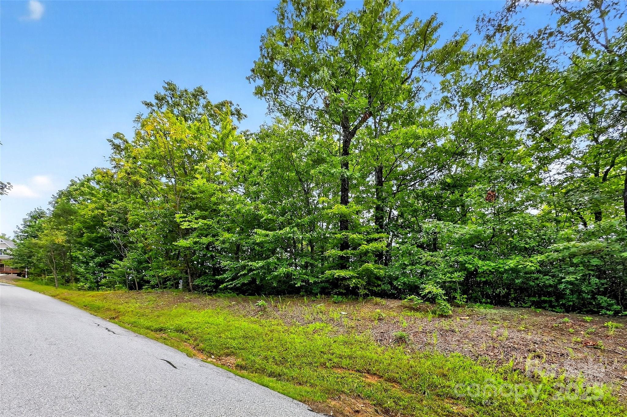 1696 Catawba Falls Parkway Black Mountain NC 28711