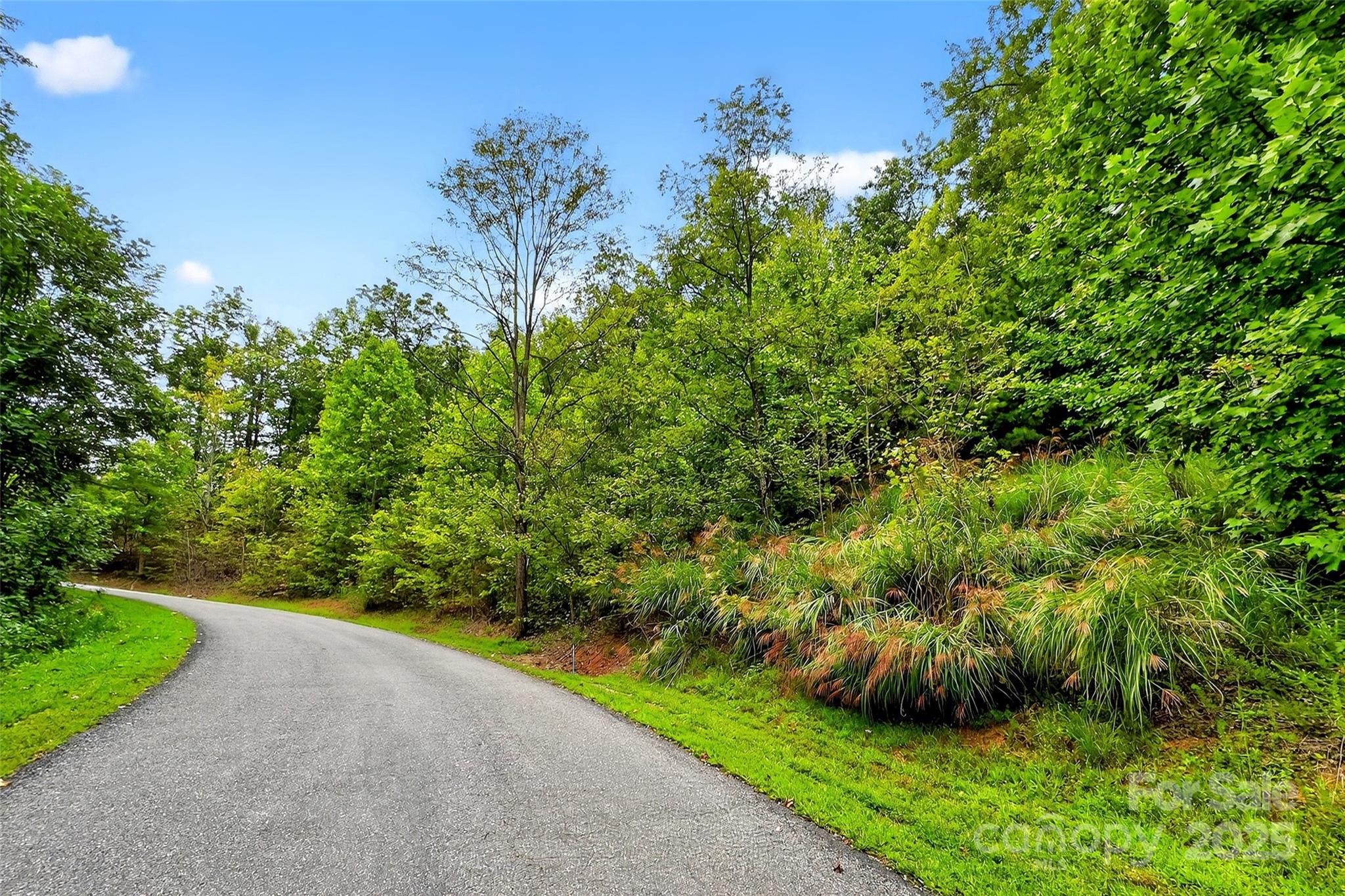 1696 Catawba Falls Parkway Black Mountain NC 28711