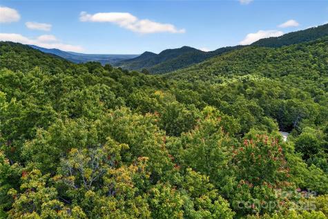 1696 Catawba Falls Parkway Black Mountain NC 28711