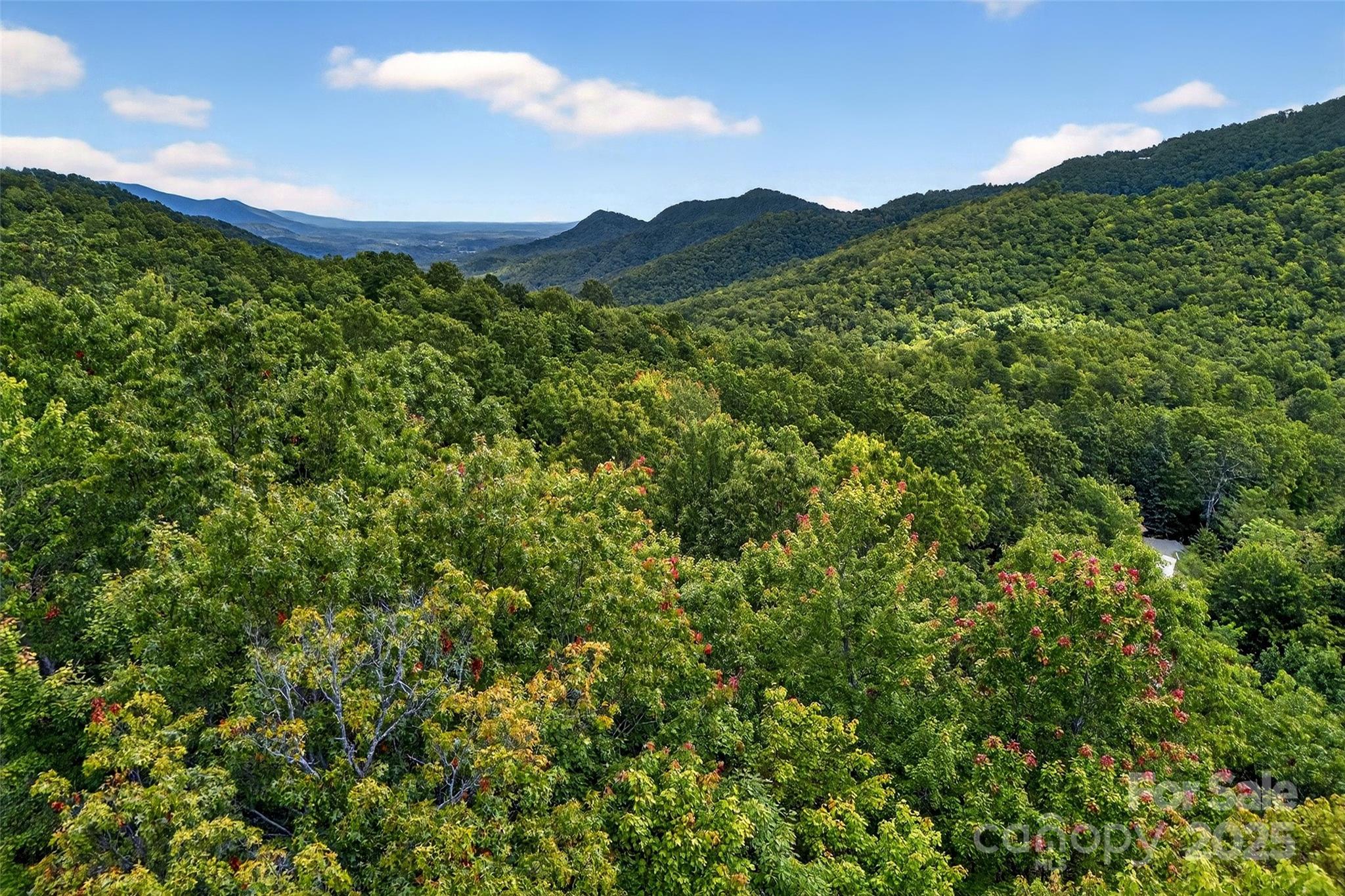 1696 Catawba Falls Parkway Black Mountain NC 28711