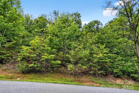 1696 Catawba Falls Parkway Black Mountain NC 28711