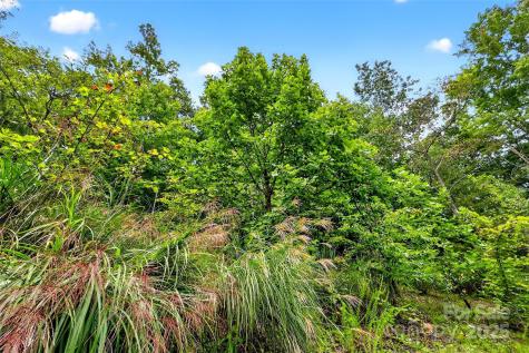 1696 Catawba Falls Parkway Black Mountain NC 28711