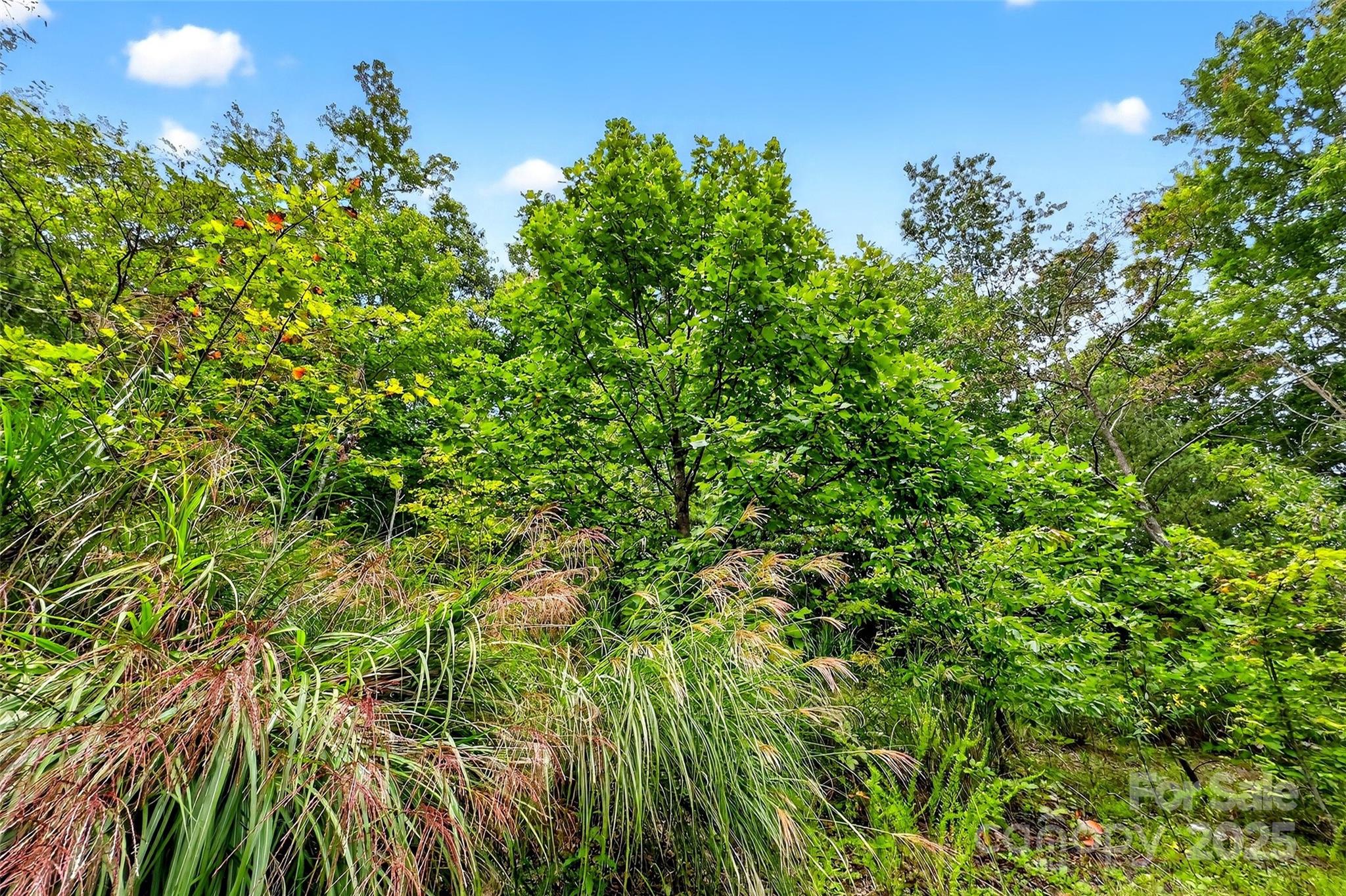 1696 Catawba Falls Parkway Black Mountain NC 28711