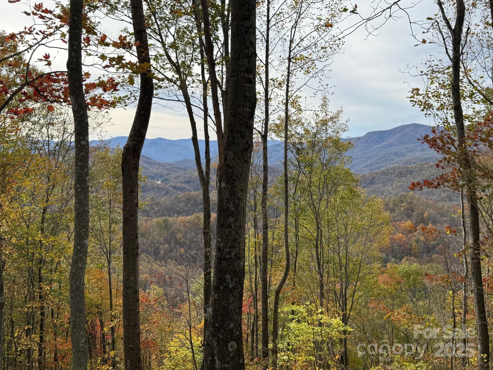 223 Flying Dutchman Road Sylva NC 28779