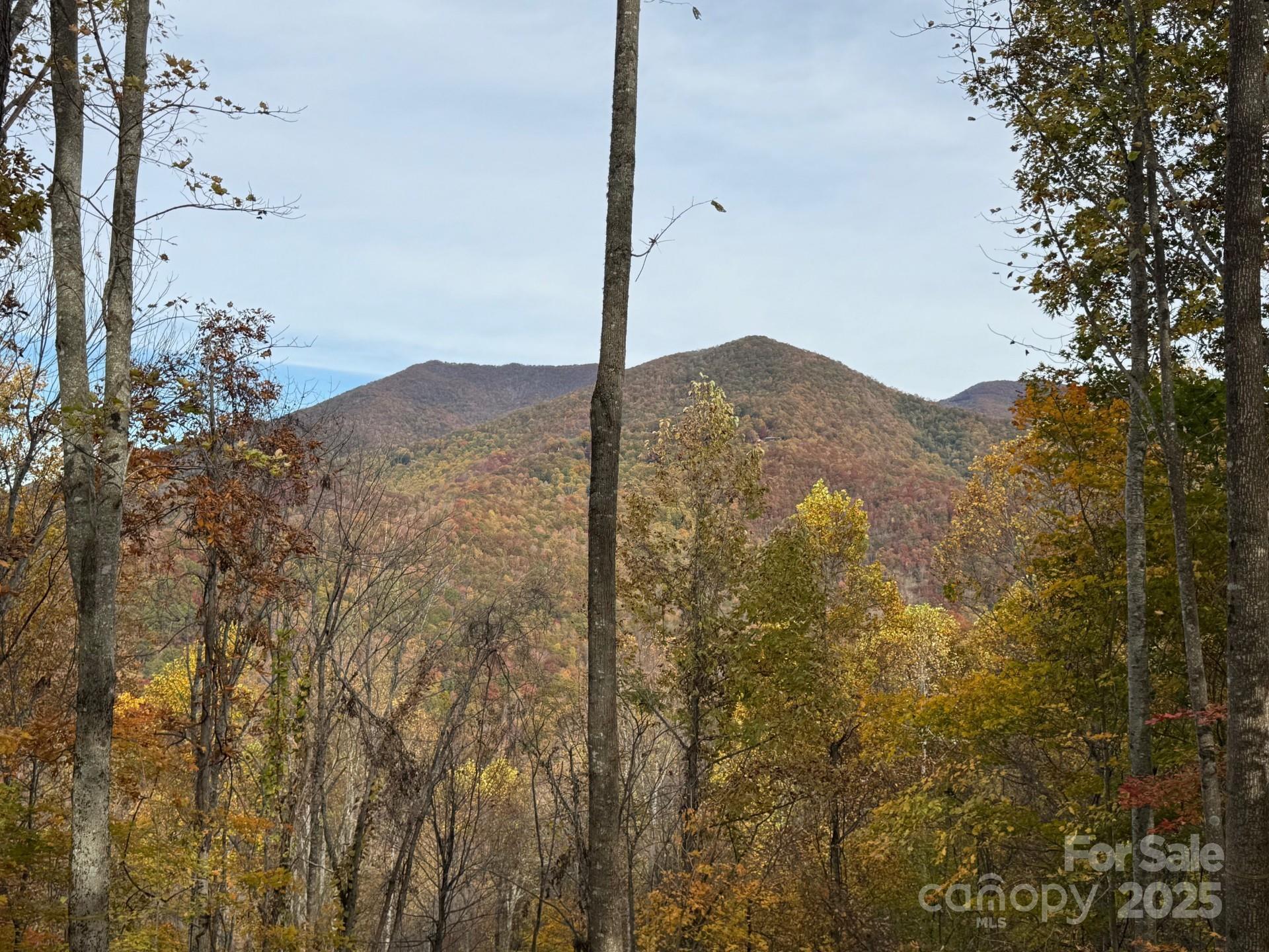 223 Flying Dutchman Road Sylva NC 28779