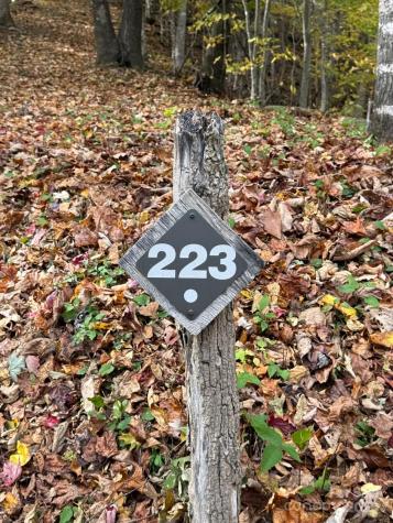 223 Flying Dutchman Road Sylva NC 28779