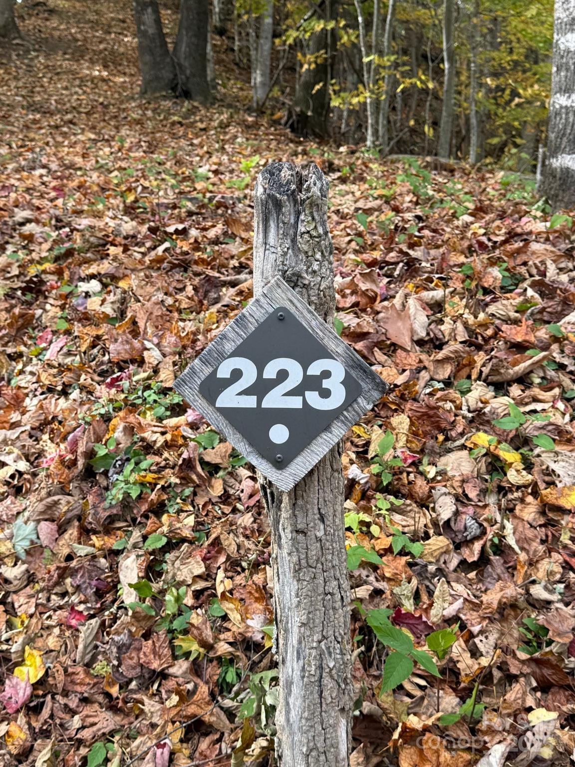 223 Flying Dutchman Road Sylva NC 28779