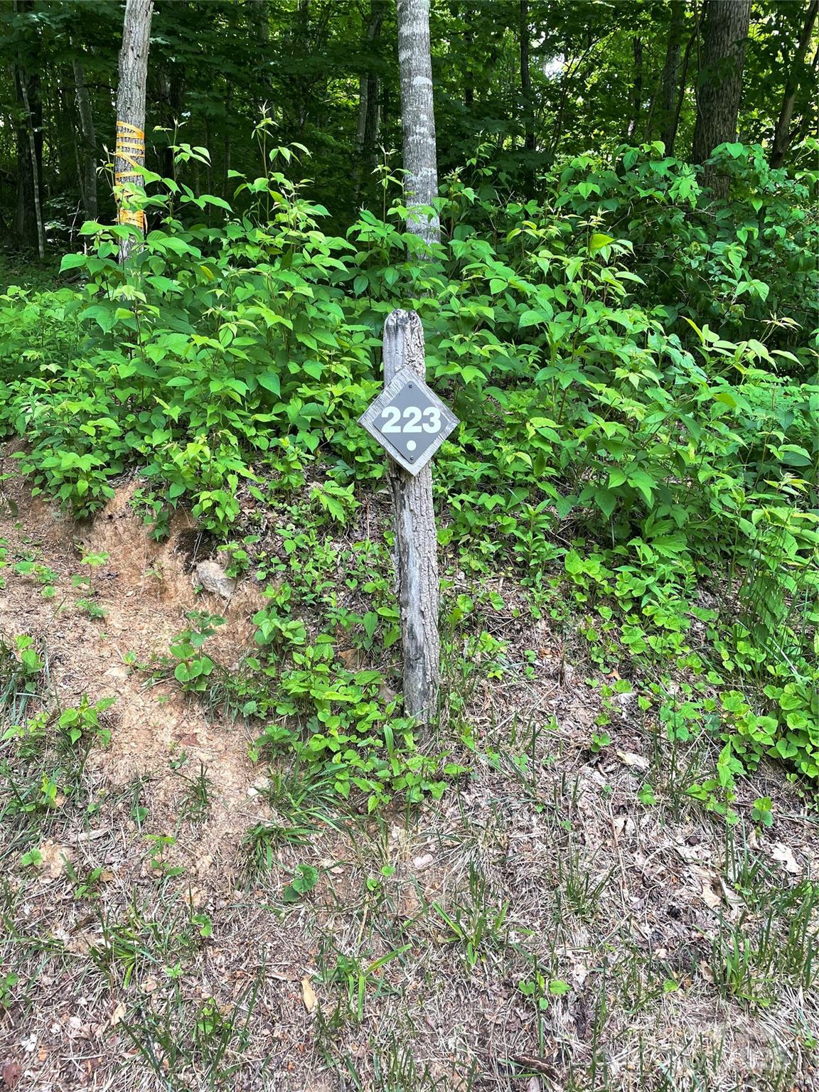 223 Flying Dutchman Road Sylva NC 28779