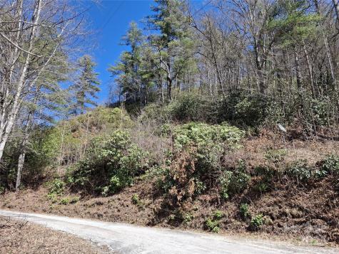 0 Vess Owen Road Tuckasegee NC 28783