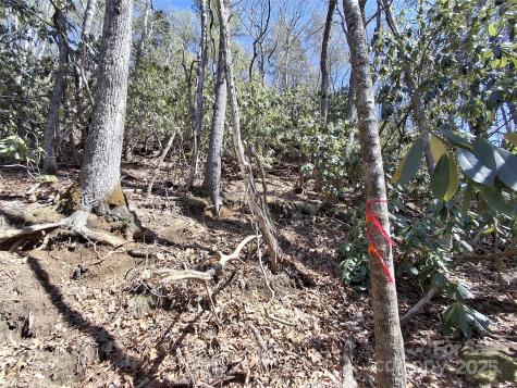 0 Vess Owen Road Tuckasegee NC 28783