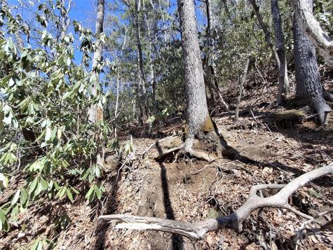 0 Vess Owen Road Tuckasegee NC 28783