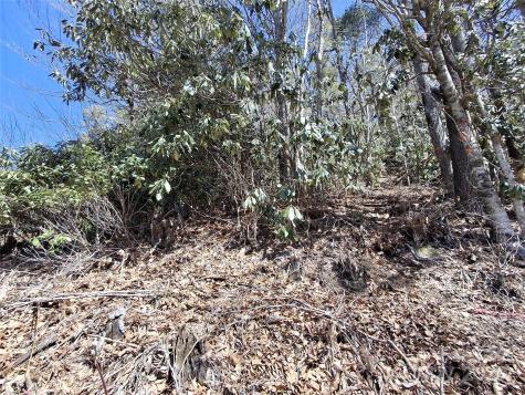 0 Vess Owen Road Tuckasegee NC 28783